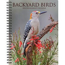 2024 Willow Creek Press Backyard Birds Weekly Engagement Calendar, 6.5 x 8.5 Spiral Planner (37829