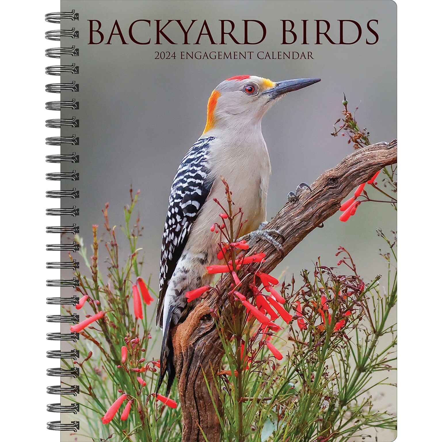 2024 Willow Creek Press Backyard Birds Weekly Engagement Calendar, 6.5 x 8.5 Spiral Planner (37829)