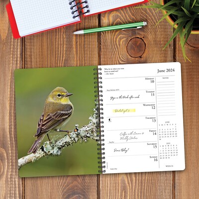 2024 Willow Creek Press Backyard Birds Weekly Engagement Calendar, 6.5" x 8.5" Spiral Planner (37829)