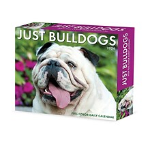 2024 Willow Creek Bulldogs 6 x 5.5 Daily Day-to-Day Calendar, Multicolor (36235)