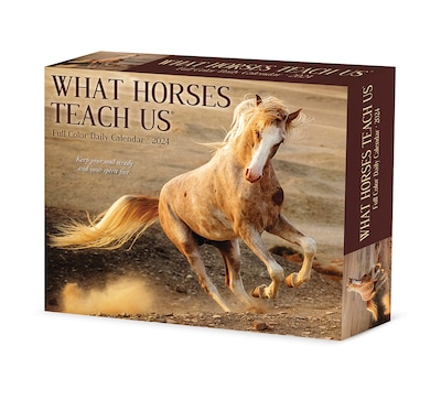 2024 Willow Creek What Horses Teach Us 6 x 5.5 Daily Day-to-Day Calendar, Multicolor (36617)