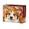2024 Willow Creek Corgis (Dogs and Puppies) 6 x 5.5 Daily Day-to-Day Calendar, Multicolor (36273)