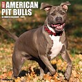 2024 Willow Creek Just American Pit Bull Terriers 12 x 12 Monthly Wall Calendar, Multicolor (32084