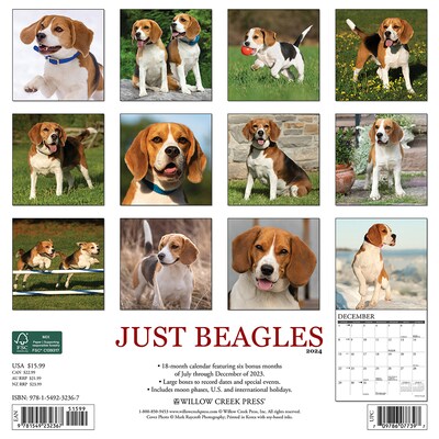 2024 Willow Creek Just Beagles 12 x 12 Monthly Wall Calendar, Multicolor (32367)
