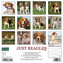 2024 Willow Creek Just Beagles 12 x 12 Monthly Wall Calendar, Multicolor (32367)