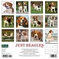 2024 Willow Creek Just Beagles 12" x 12" Monthly Wall Calendar, Multicolor (32367)
