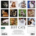 2024 Willow Creek Press Just Cats 2024 Wall Calendar 12 x 12 (32909)