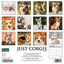 2024 Willow Creek Just Corgis 12 x 12 Monthly Wall Calendar, Multicolor (33227)