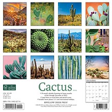 2024 Willow Creek Cactus 12 x 12 Monthly Wall Calendar, Multicolor (32770)