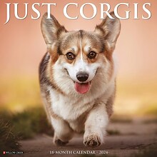 2024 Willow Creek Just Corgis 12 x 12 Monthly Wall Calendar, Multicolor (33227)