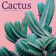 2024 Willow Creek Cactus 12 x 12 Monthly Wall Calendar, Multicolor (32770)