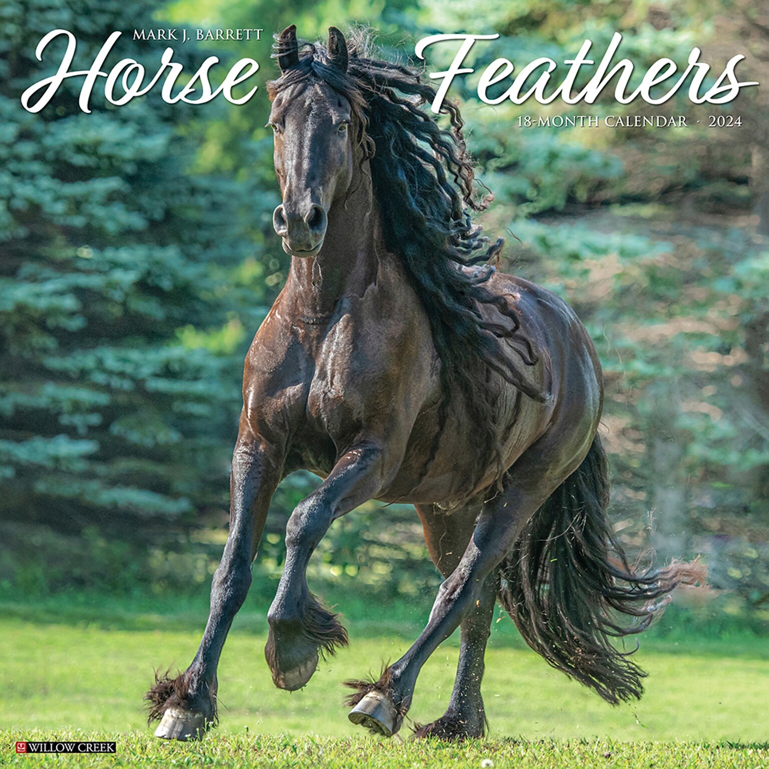2024 Willow Creek Horse Feathers 12 x 12 Monthly Wall Calendar, Multicolor (33937)