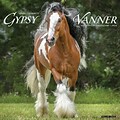 2024 Willow Creek Gypsy Vanner Horse 12 x 12 Monthly Wall Calendar, Multicolor (33845)