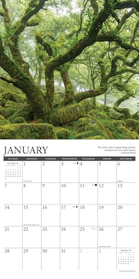 2024 Willow Creek Heaven Has a Forest 12" x 12" Monthly Wall Calendar, Multicolor (33890)