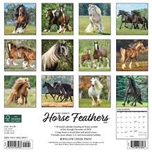 2024 Willow Creek Horse Feathers 12 x 12 Monthly Wall Calendar, Multicolor (33937)
