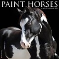 2024 Willow Creek Press Paint Horses 2024 Wall Calendar 12 x 12 (34798)