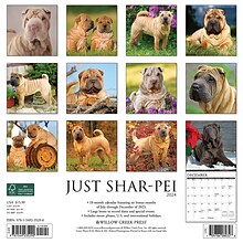 2024 Willow Creek Just Shar-Peis 12 x 12 Monthly Wall Calendar, Multicolor (35290)