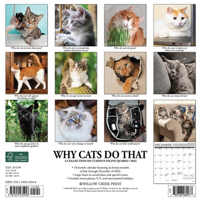 2024 Willow Creek Why Cats Do That 12 x 12 Monthly Wall Calendar, Multicolor (35948)