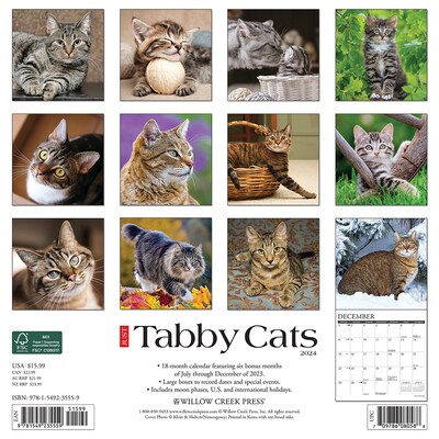 2024 Willow Creek Just Tabby Cats 12 x 12 Monthly Wall Calendar, Multicolor (35559)