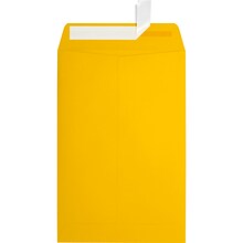 JAM Paper 6 x 9 Open End Envelopes, Sunflower Yellow, 50 Pack (EX1644-12-50)