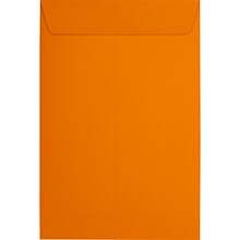 JAM Paper 6 x 9 Open End Envelopes, Mandar,Orange, 250/Pack (EX1644-11-250)