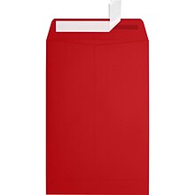 JAM Paper 6 x 9 Open End Envelopes ,Ruby Red , 50 Pack, Red (EX1644-18-50)