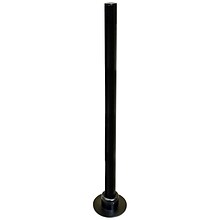 Ergotron DS100 Adjustable Mounting Pole, Black (20-137-200)
