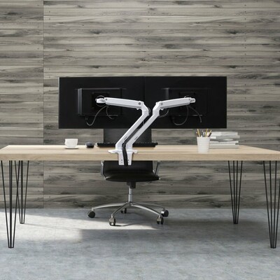 Ergotron MXV Adjustable Dual Mounting Arm, 24" Screen Support, White (45-496-216)