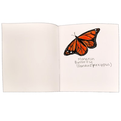 Flipside Journal, 7" x 8.5", White, Blank, 28 Pages, 12/Set (FLPBK512)