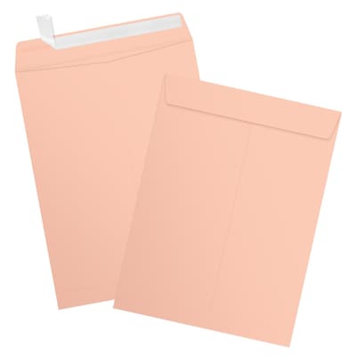 JAM Paper 9 x 12 Open End Envelopes, Blush Pink, 250 Pack (4894-114-250)