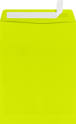 JAM Paper 9 x 12 Open End Envelopes, Wasabi , 50 Pack, Yellow (LUX-4894-L22-50)