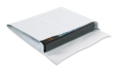 Ship-Lite Expandable Envelope, 10 x 15 x 2, White, 100/Case (SLE10152WS)