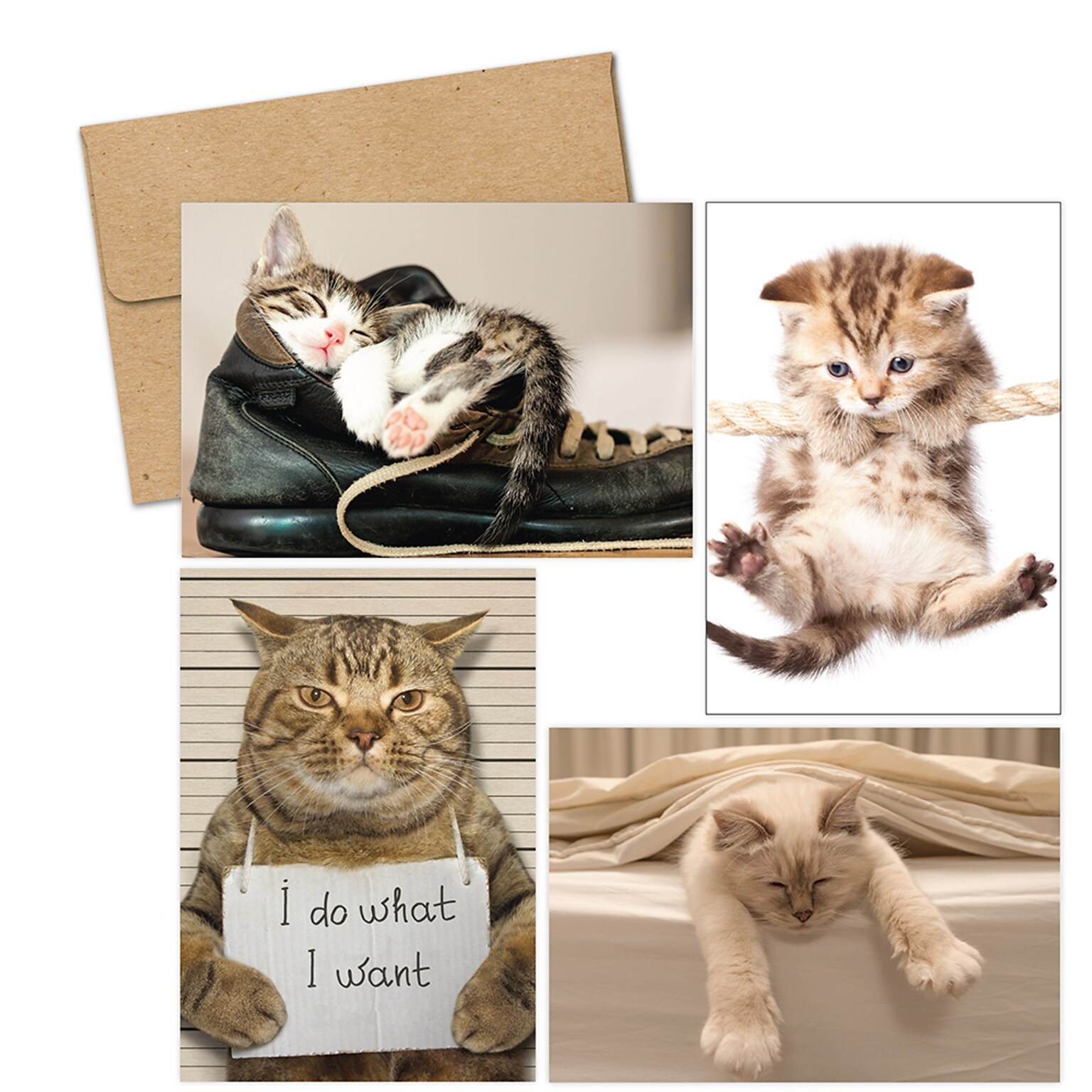 Masterpiece Studios Great Papers!® Kitty Thoughts Assortment Note Card, 4.875H x 3.35W (folded), 20 count (2017059)