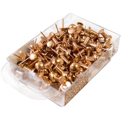 JAM Paper Pushpins, Rose Gold, 2 Packs of 100 (22432063A)