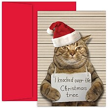 JAM Paper® Christmas Cards Set, Bad Cat, 18/Pack (526915900)