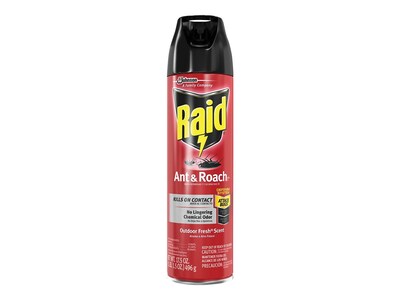 Raid Ant & Roach Killer 26 Aerosol for Ants & Roaches, Outdoor Fresh Scent, 17.5 oz. (669798)