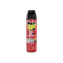 Raid Ant & Roach Killer 26 Aerosol for Ants & Roaches, Outdoor Fresh Scent, 17.5 oz. (669798)