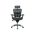 Eurotech High Back Mesh Task Chair, Black (ME7ERG(N))