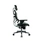 Eurotech Ergohuman Mesh Back Leather Task Chair, Black (LEM4ERG -LBK(N))