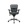 Raynor Low Back Mesh Task Chair, Black (ME8ERGLO(N))