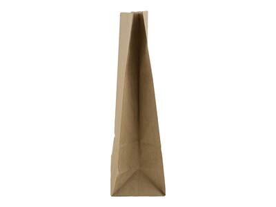 JAM Paper Kraft Lunch Bags, 8" x 4.25" x 2.25", Brown, 500/Pack (690KRBRB)