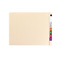 Smead Heavy Duty End Tab File Folder, Straight-Cut Extended Tab, Letter Size, Manila, 100/Box (24250