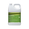 Staples® #66 Disinfectant and Sanitizer, Unscented, 1 Gallon (STP660001-C-CC)