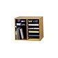 Safco 10-Compartment Literature Organizers, 19.5" x 16", Medium Oak (9420MO)