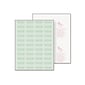 Paris DocuGard Advanced 8.5" x 11" Medical Security Paper, 24 lbs., Green, 500 Sheets/Ream (PRB04542)