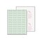 Paris DocuGard Advanced 8.5 x 11 Medical Security Paper, 24 lbs., Green, 500 Sheets/Ream (PRB04542