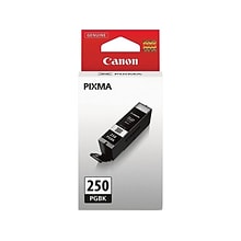 Canon 250 Black Standard Yield Ink Cartridge (6497B001)