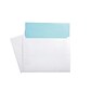 Staples® Wove Side-Opening Booklet Envelopes; 9" x 12", White, 100/Box (473009/19307)