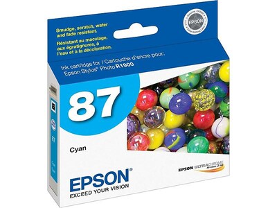 Epson T87 Ultrachrome Cyan Standard Yield Ink Cartridge
