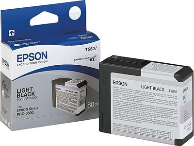 Epson T580 Ultrachrome Light Black Standard Yield Ink Cartridge